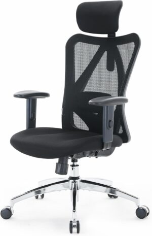 SIHOO M18 Ergonomic Office Chair, A...