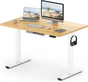 FLEXISPOT E1 Plus Electric Standing...