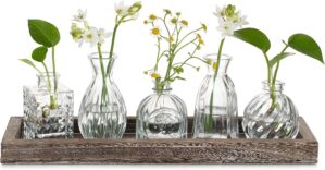 Hewory Vintage Bud Vases, 5pcs Clea...