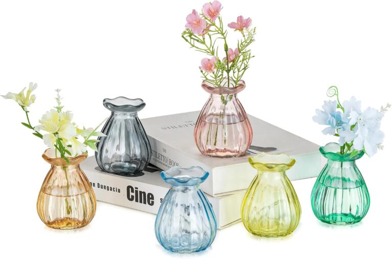 Hewory Mini Bud Vases for Flowers, 6pcs Small Vases for Table Decoration