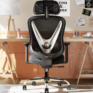 HOLLUDLE Ergonomic Office Chair wit...