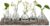 Hewory Vintage Bud Vases, 5pcs Clear Glass Vase with Wood Tray for Table