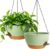 WSMKSZ 33cm Large Self Watering Hanging Baskets, 2 Pack Hanging Planters